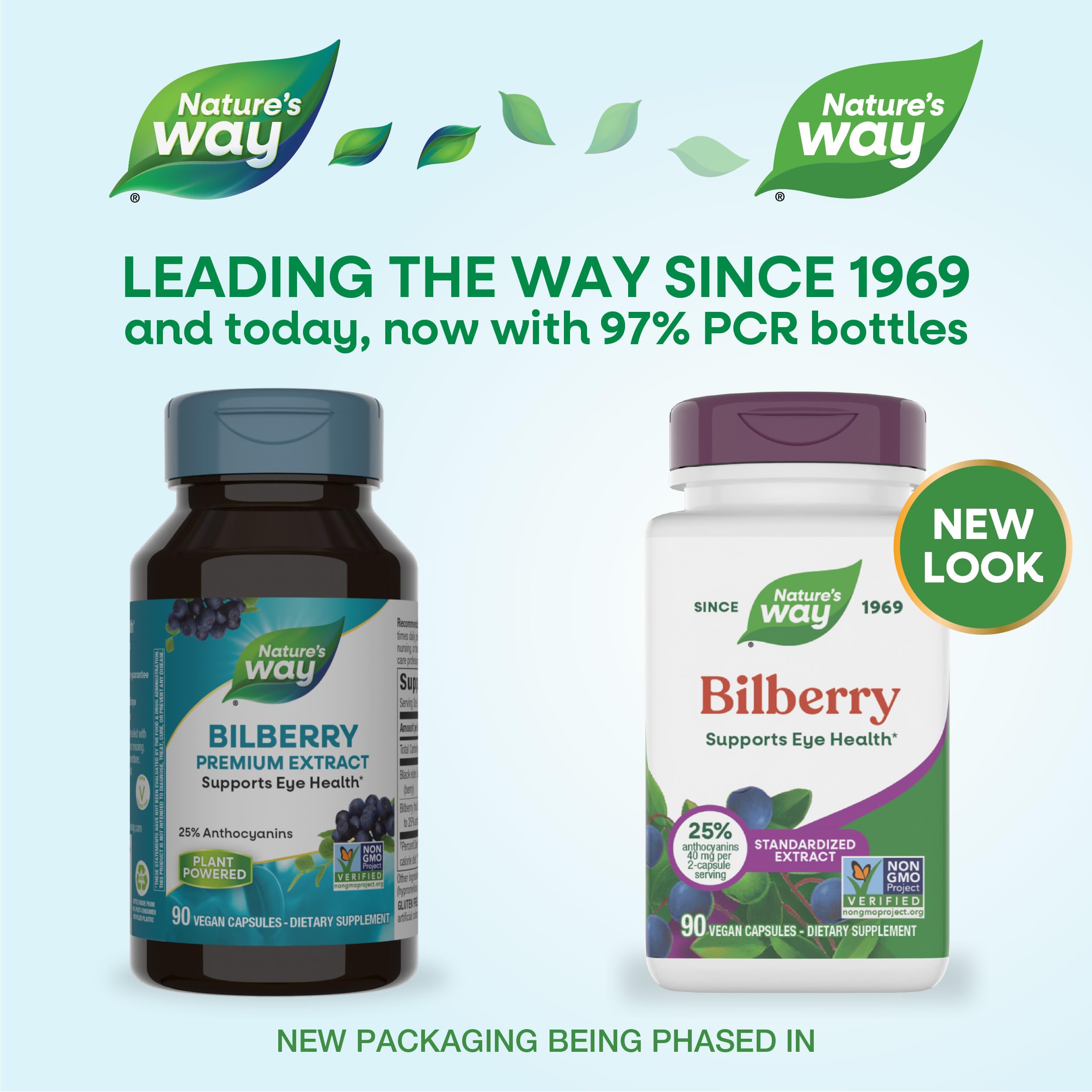Nature's Way Bilberry Extract capsules on a wooden table