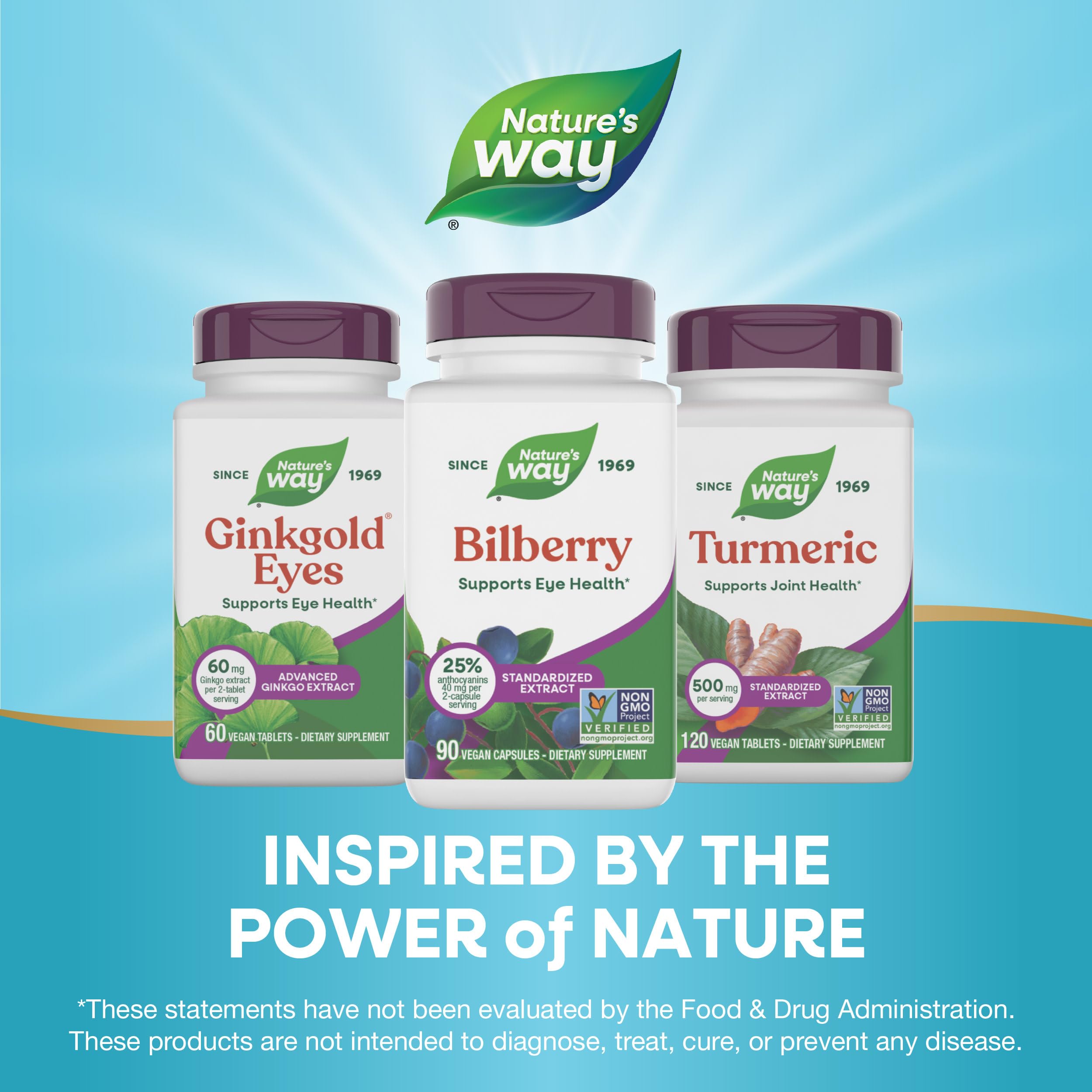 Nature's Way Bilberry Extract displayed with fresh bilberries