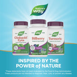 Nature's Way Bilberry Extract displayed with fresh bilberries