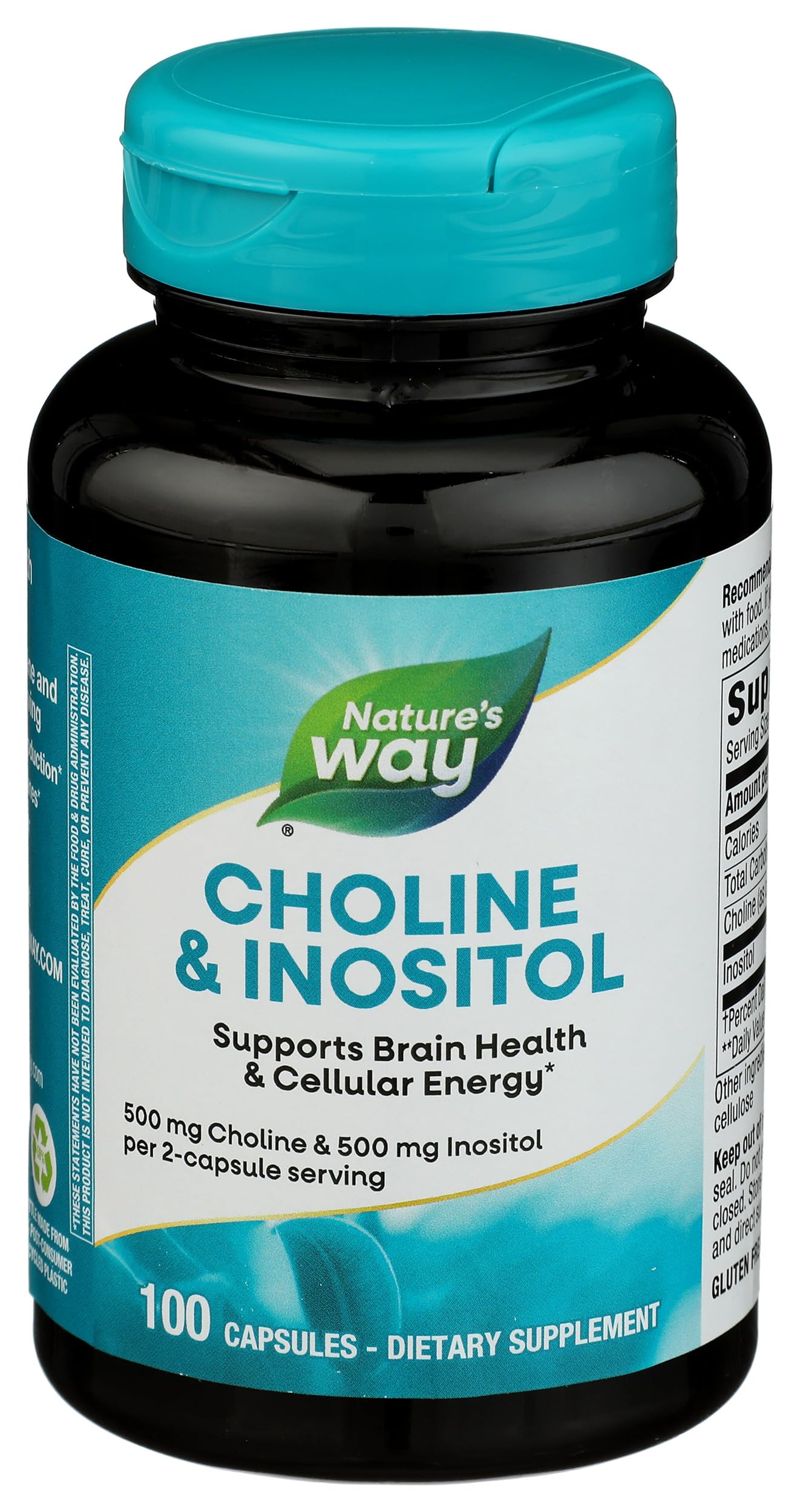 Nature's Way Choline & Inositol Capsules 500mg front view