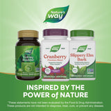 Nature's Way Cranberry Supplement on a wooden table