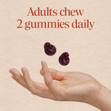 Nature's Way CranRx Cranberry Gummies 600g ingredients list