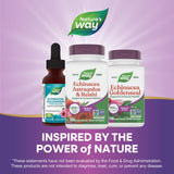 Nature's Way Echinacea Astragalus & Reishi capsules in a hand