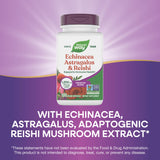 Nature's Way Echinacea Astragalus & Reishi capsules on a wooden surface