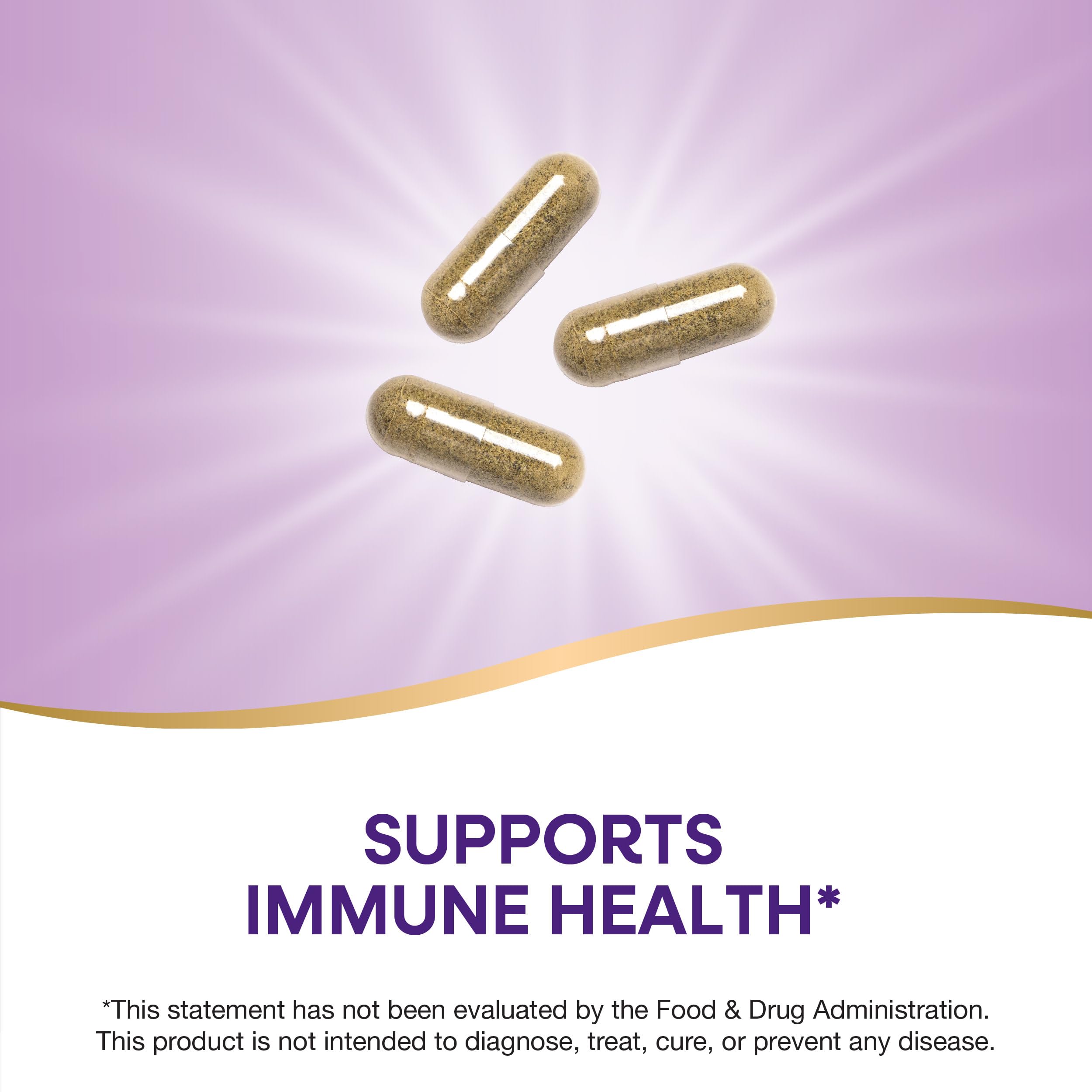 Nature's Way Echinacea Astragalus & Reishi supplement facts