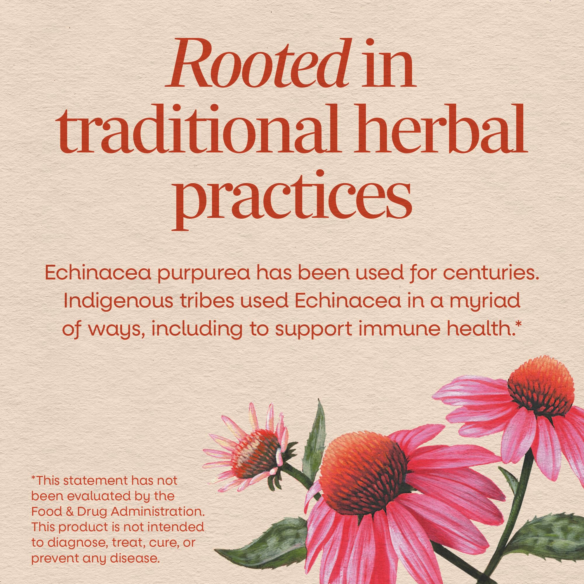 Nature's Way Echinacea Capsules back view with ingredient list