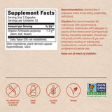 Nature's Way Echinacea Capsules bottle on a kitchen counter