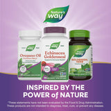 Nature's Way Echinacea Goldenseal 7 Herb Blend lifestyle scene