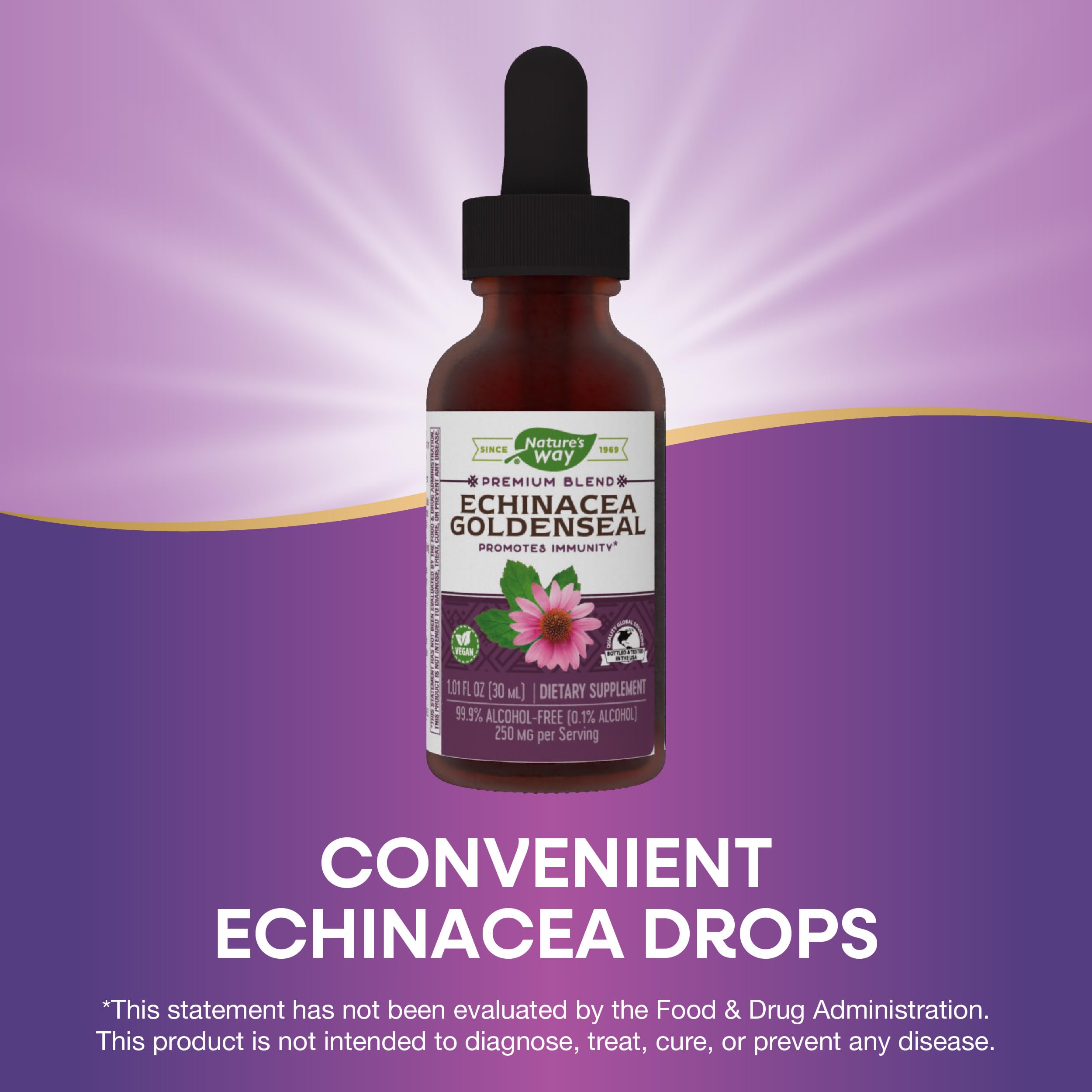 Nature's Way Echinacea Herbal Drops 85g dropper close-up