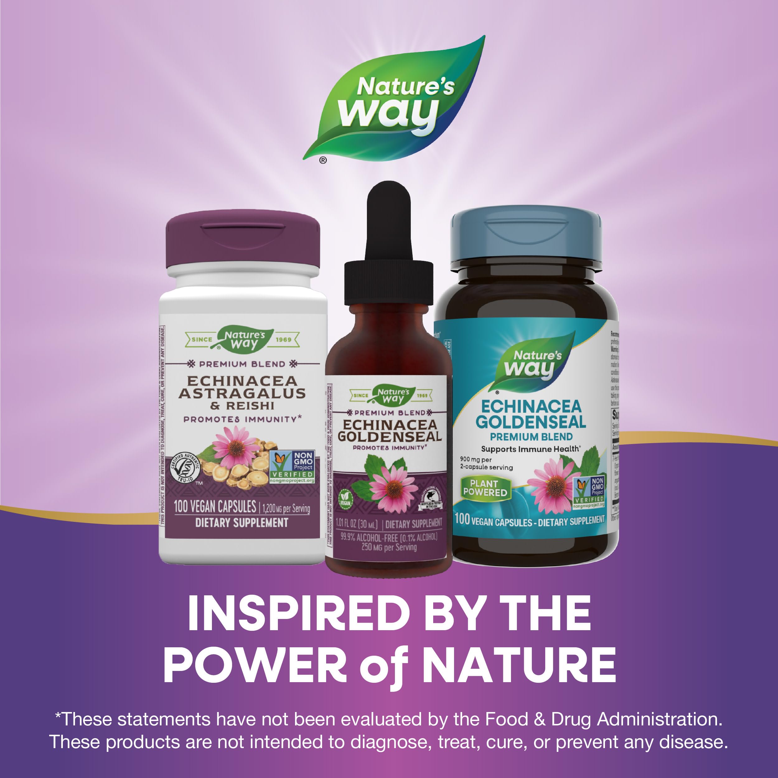 Nature's Way Echinacea Herbal Drops 85g lifestyle scene