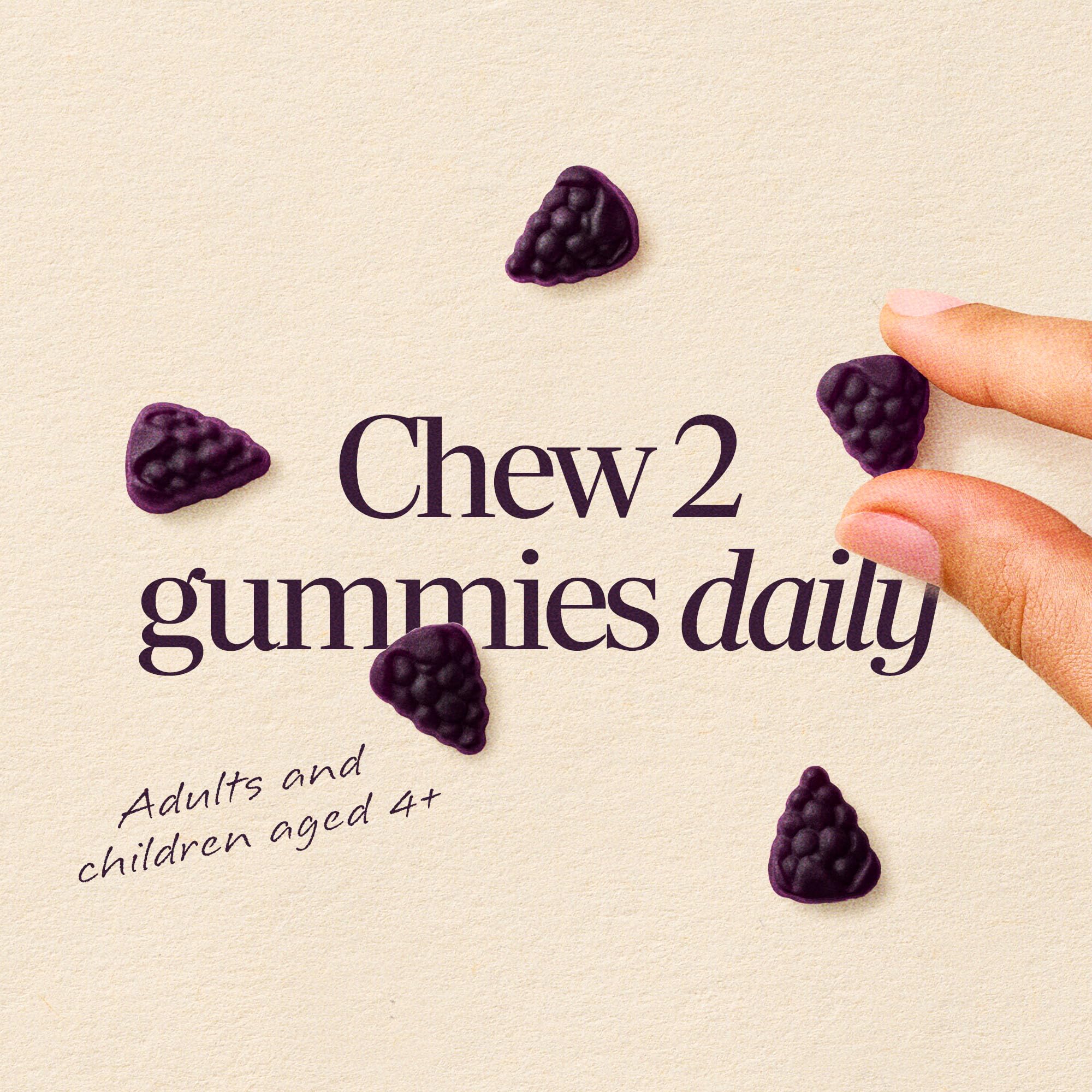 Nature's Way Elderberry Gummies in a bowl with fresh elderberries