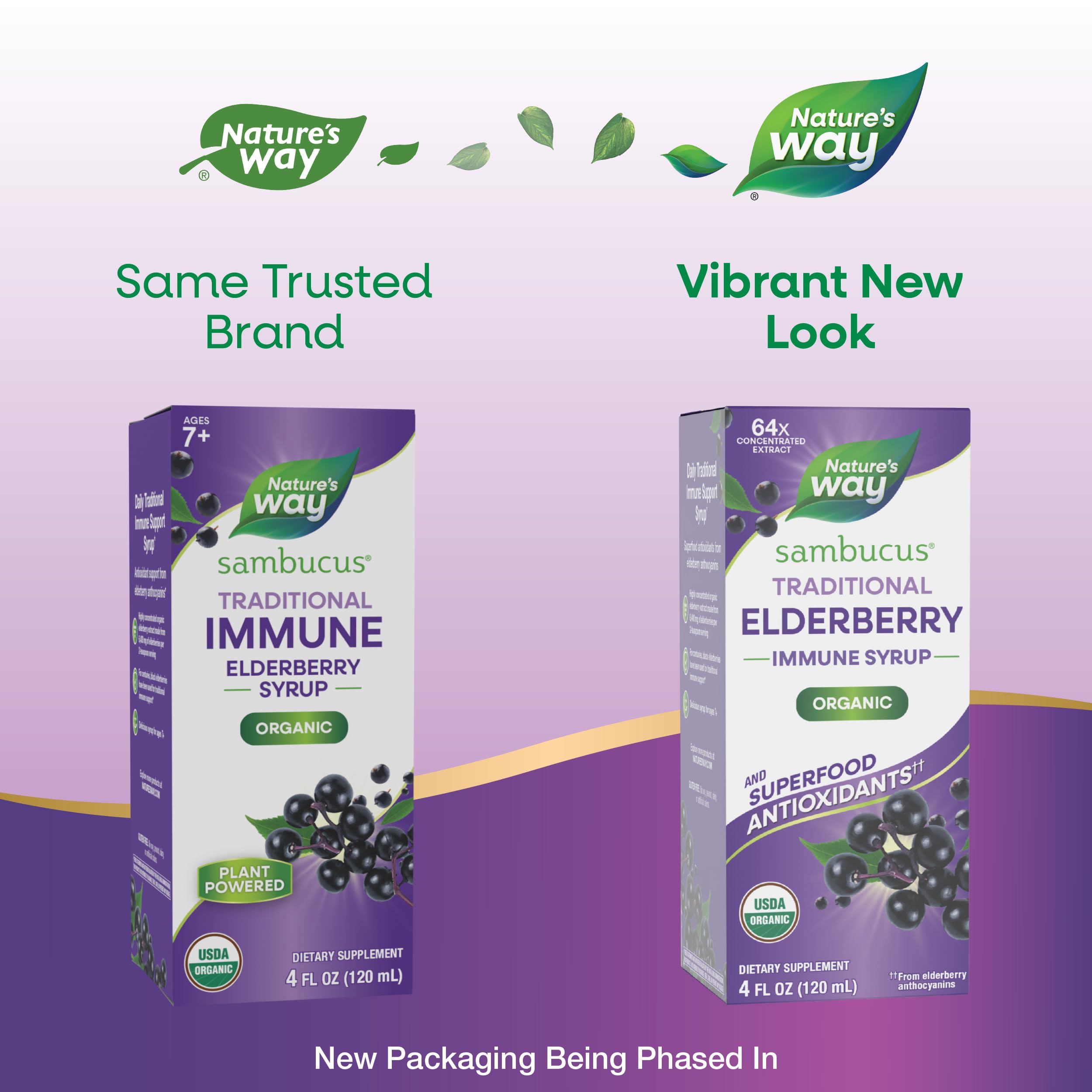 Nature's Way Elderberry Syrup 64x Concentrated 113g back view