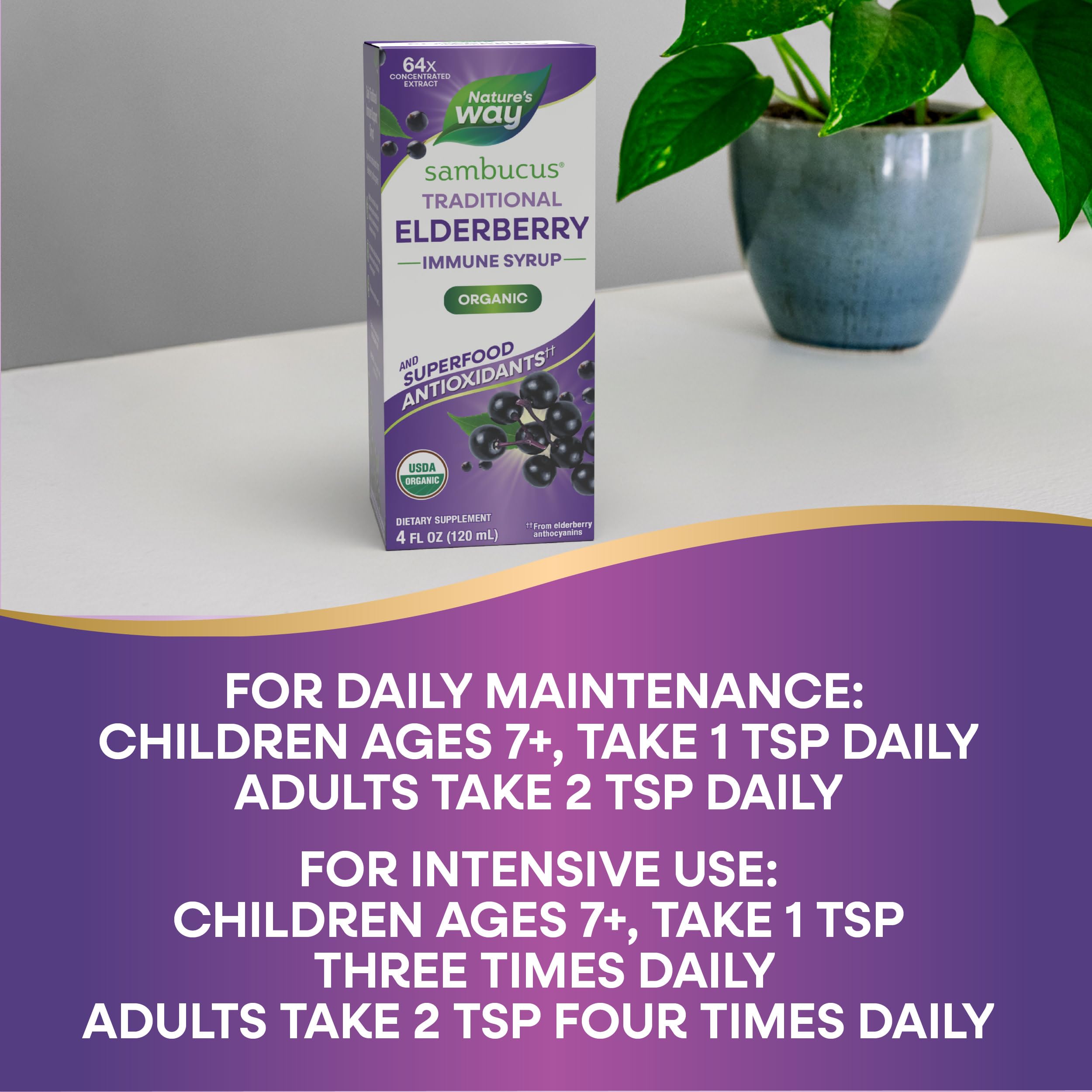 Nature's Way Elderberry Syrup 64x Concentrated 113g on a kitchen counter