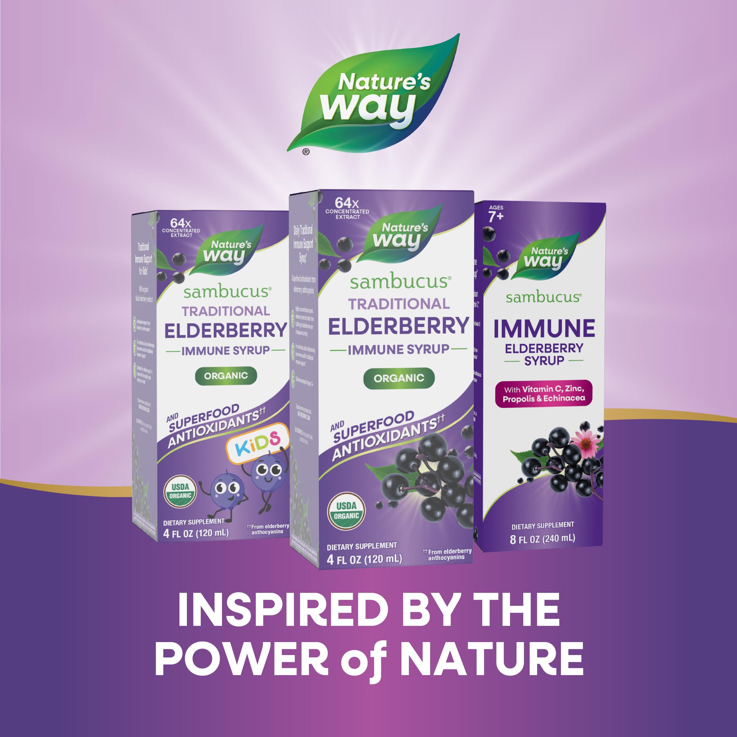 Nature's Way Elderberry Syrup 64x Concentrated 113g with fresh elderberries