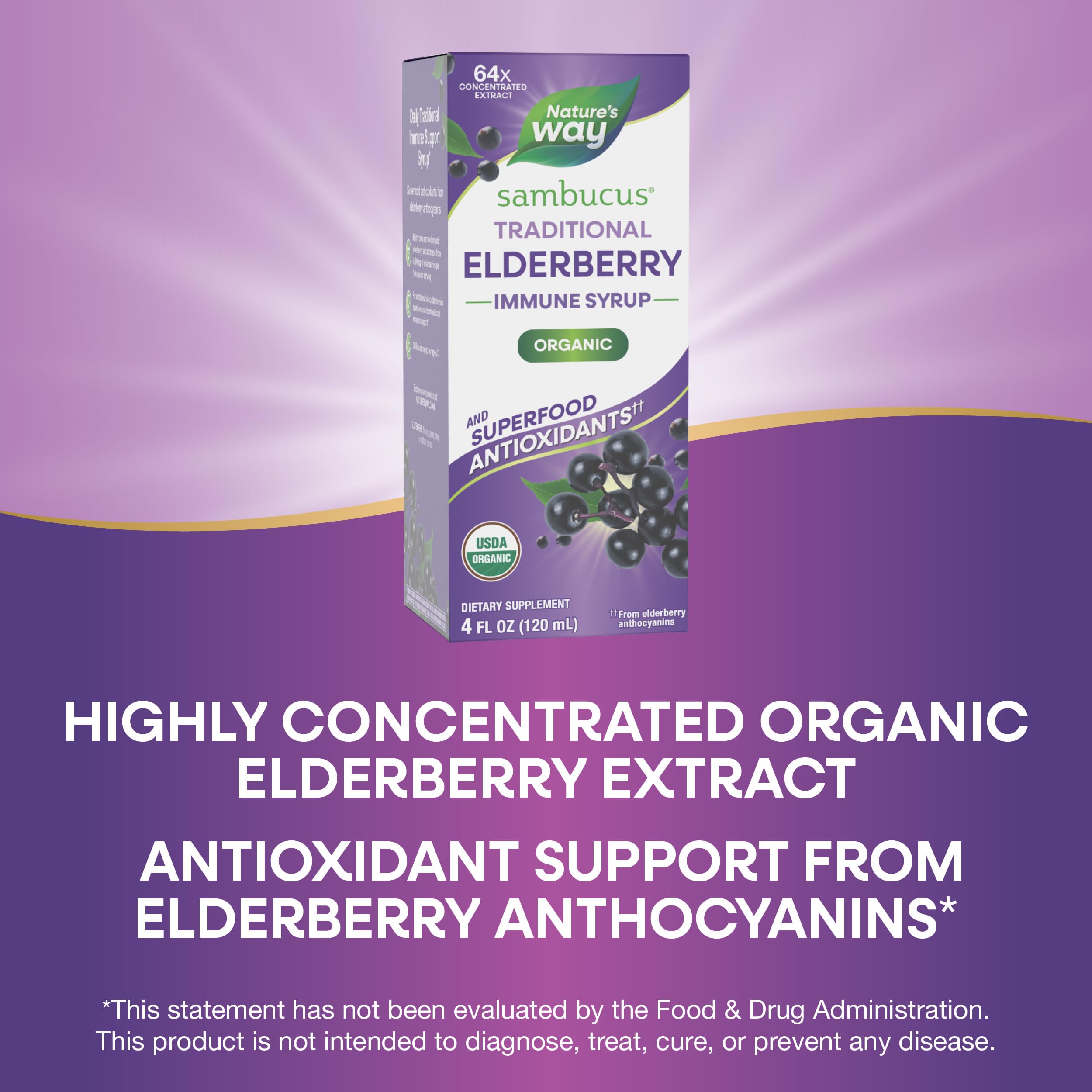 Nature's Way Elderberry Syrup 64x Concentrated 113g with spoon