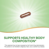 Nature's Way Forskohlii 125mg supplement ingredients list