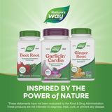 Nature's Way Garlicin Cardio tablet in hand