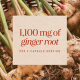 Nature's Way Ginger Root Capsules 1100mg bottle with label