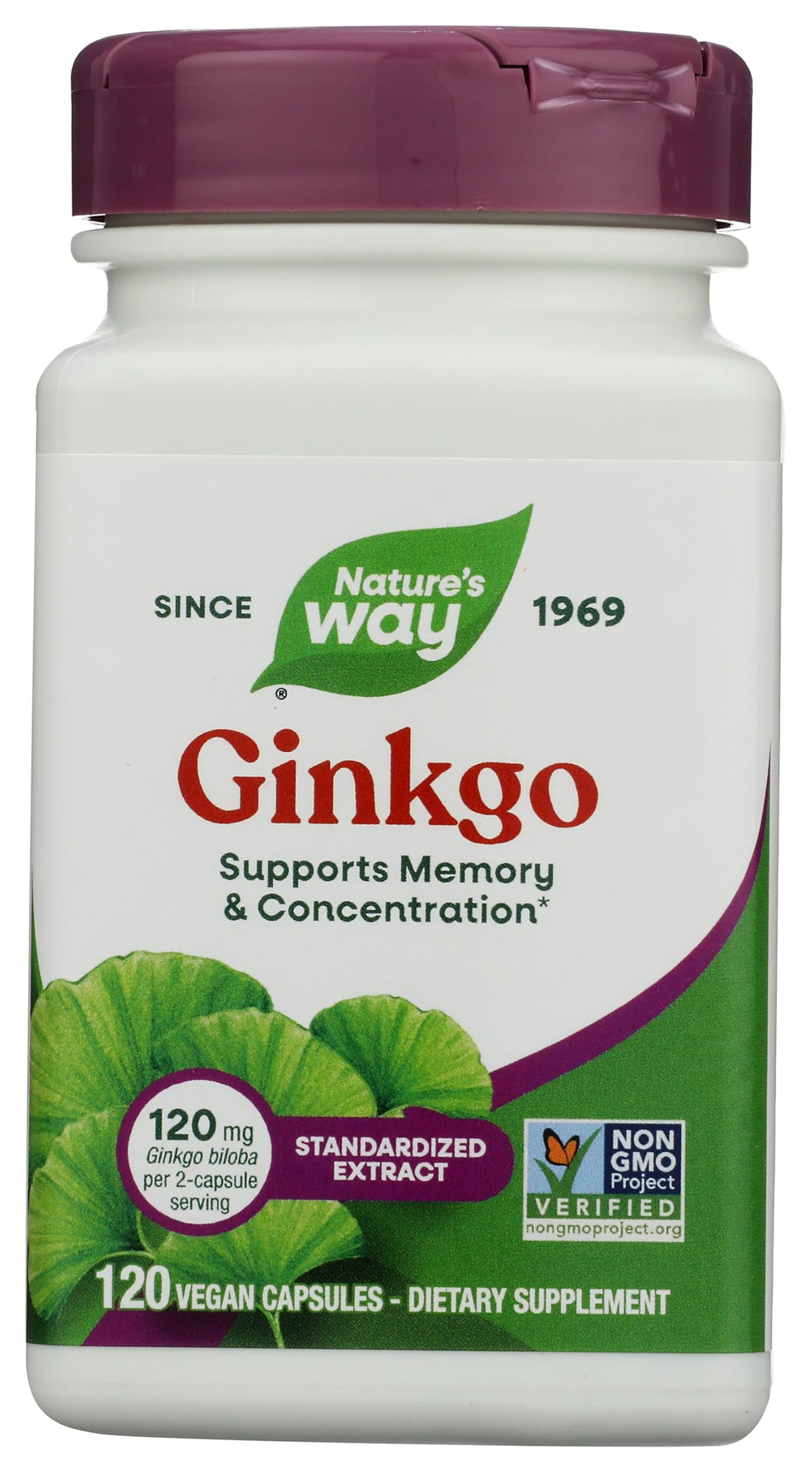 Nature's Way Ginkgo Biloba Extract 100g capsule bottle front view