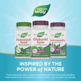 Nature's Way Ginkgold Eyes 68g supplement with a glass of water
