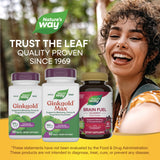 Nature's Way Ginkgold Max Ginkgo Biloba 50g tablet with fresh leaves