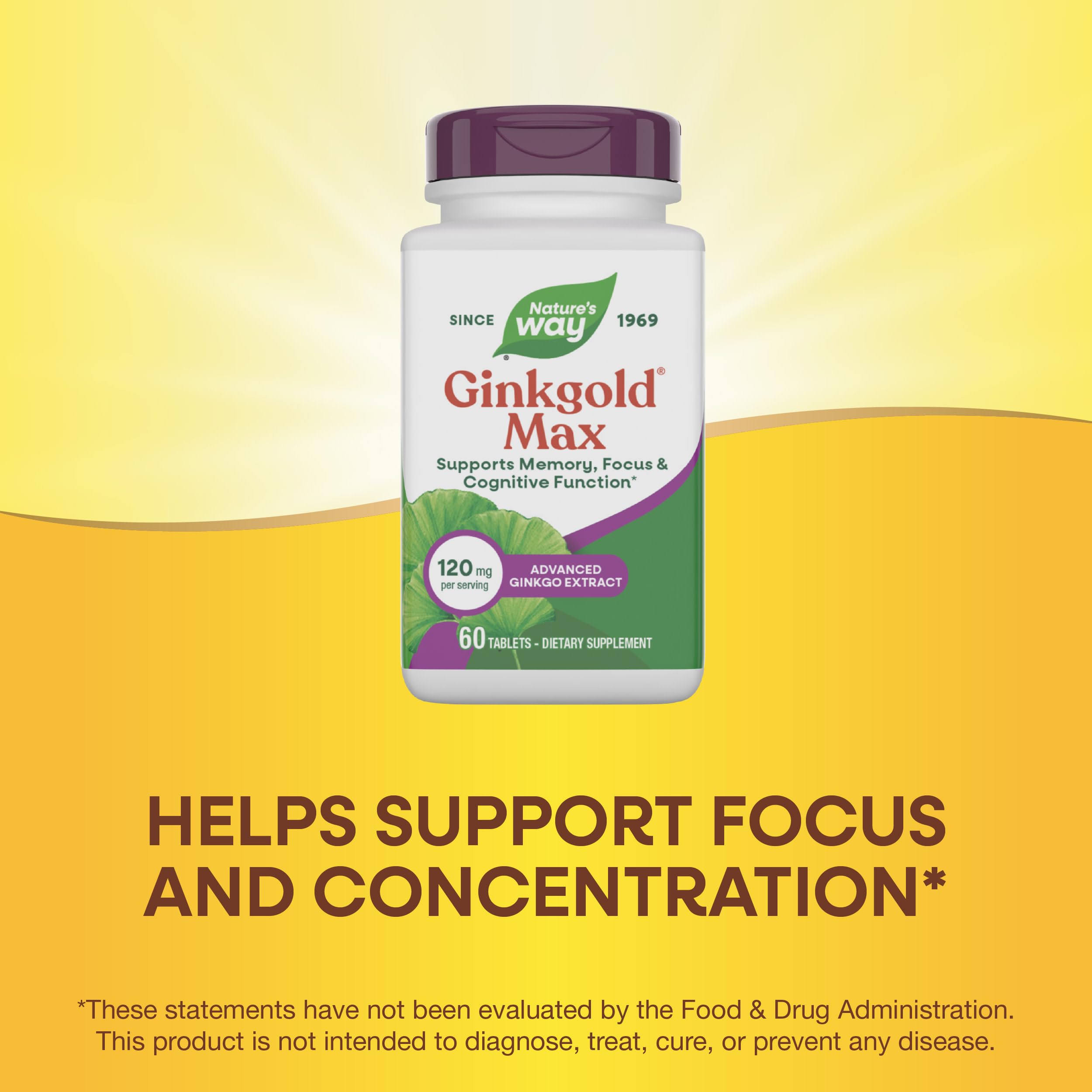 Nature's Way Ginkgold Max Ginkgo Biloba 50g tablet with water