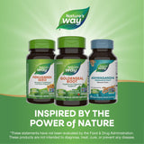 Nature's Way Goldenseal Root 1140mg capsules with herbs
