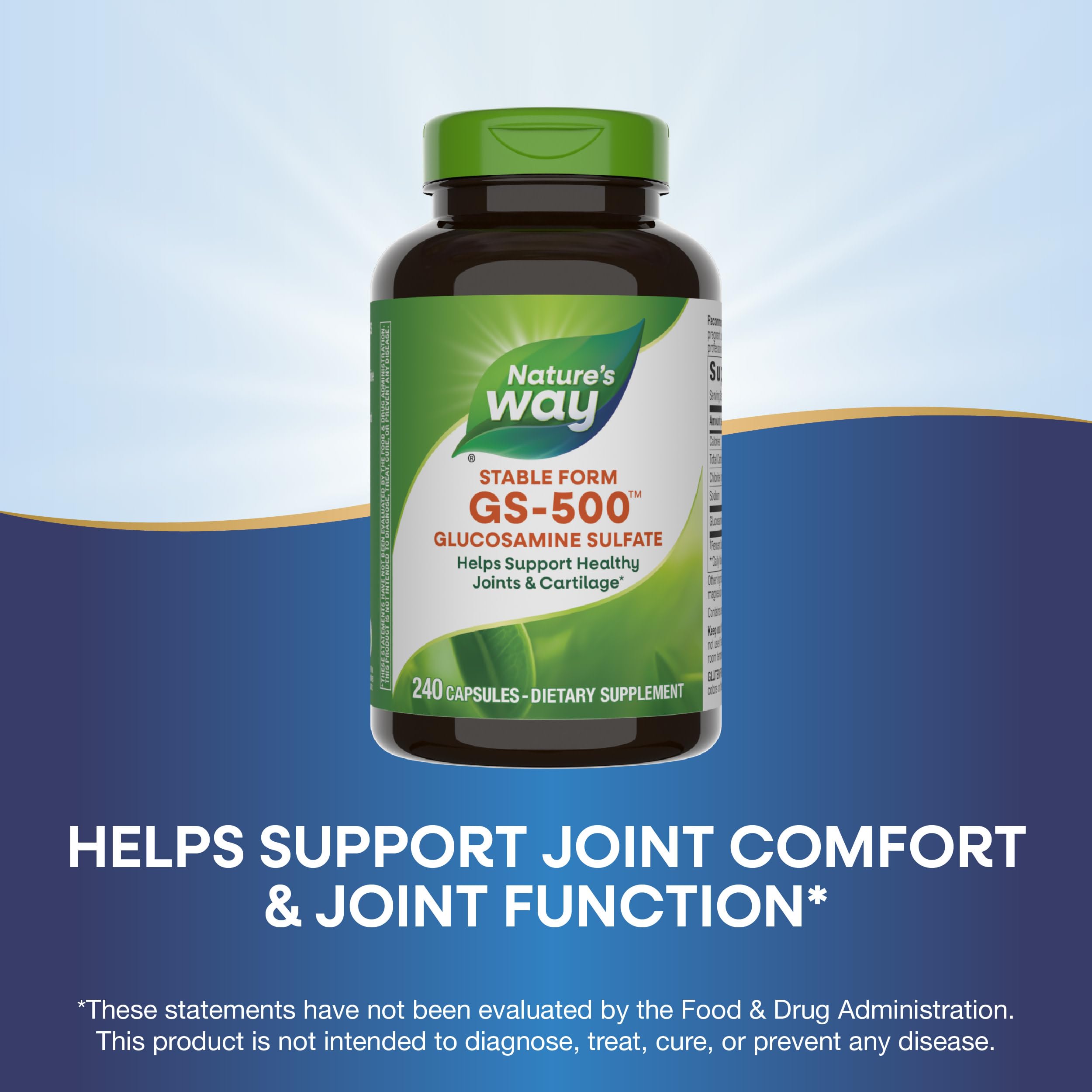 Nature's Way GS-500 capsules in a hand for size reference