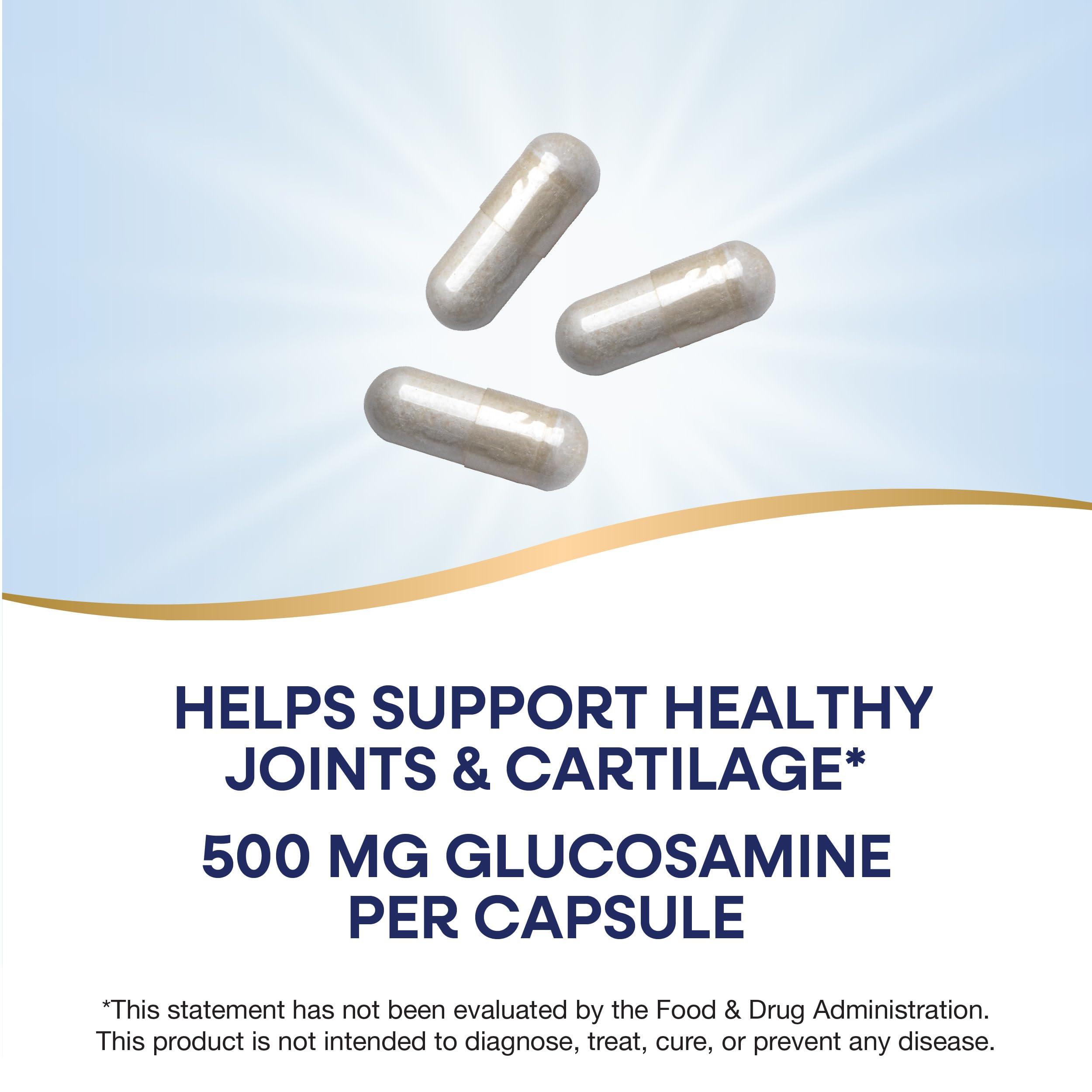 Nature's Way GS-500 label showing ingredients and dosage