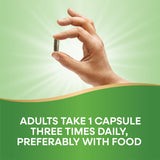 Nature's Way Gymnema Premium Extract 500mg capsules close-up