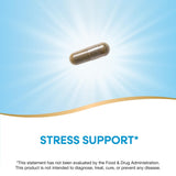 Nature's Way Holy Basil Supplement capsules on a wooden surface