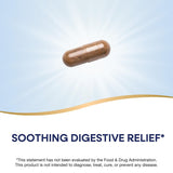 Nature's Way Licorice Root Extra Strength capsules close-up
