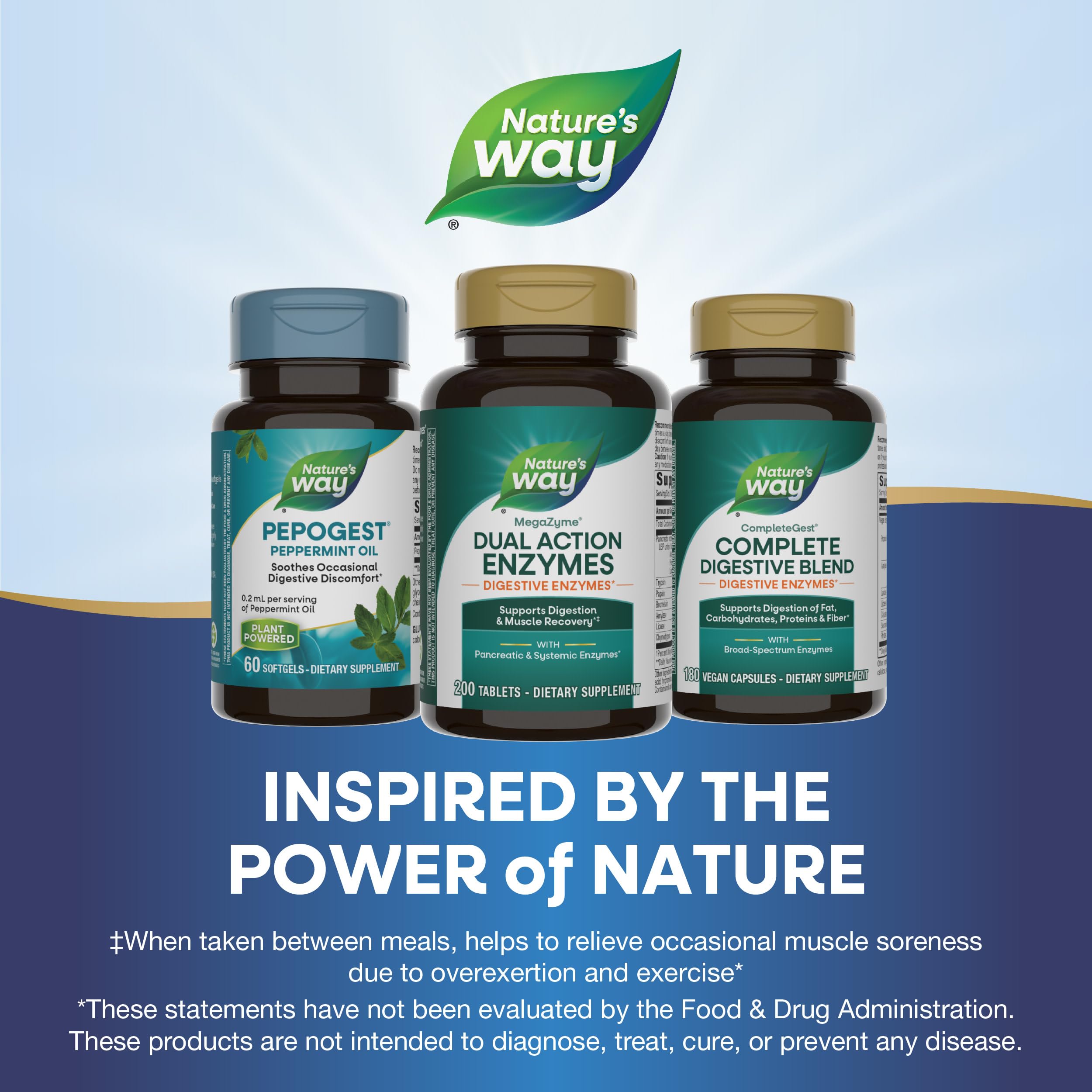 Nature's Way Mega-Zyme 95g packaging on a kitchen counter