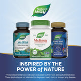 Nature's Way Melissa Lemon Balm Leaf Capsules in a natural setting