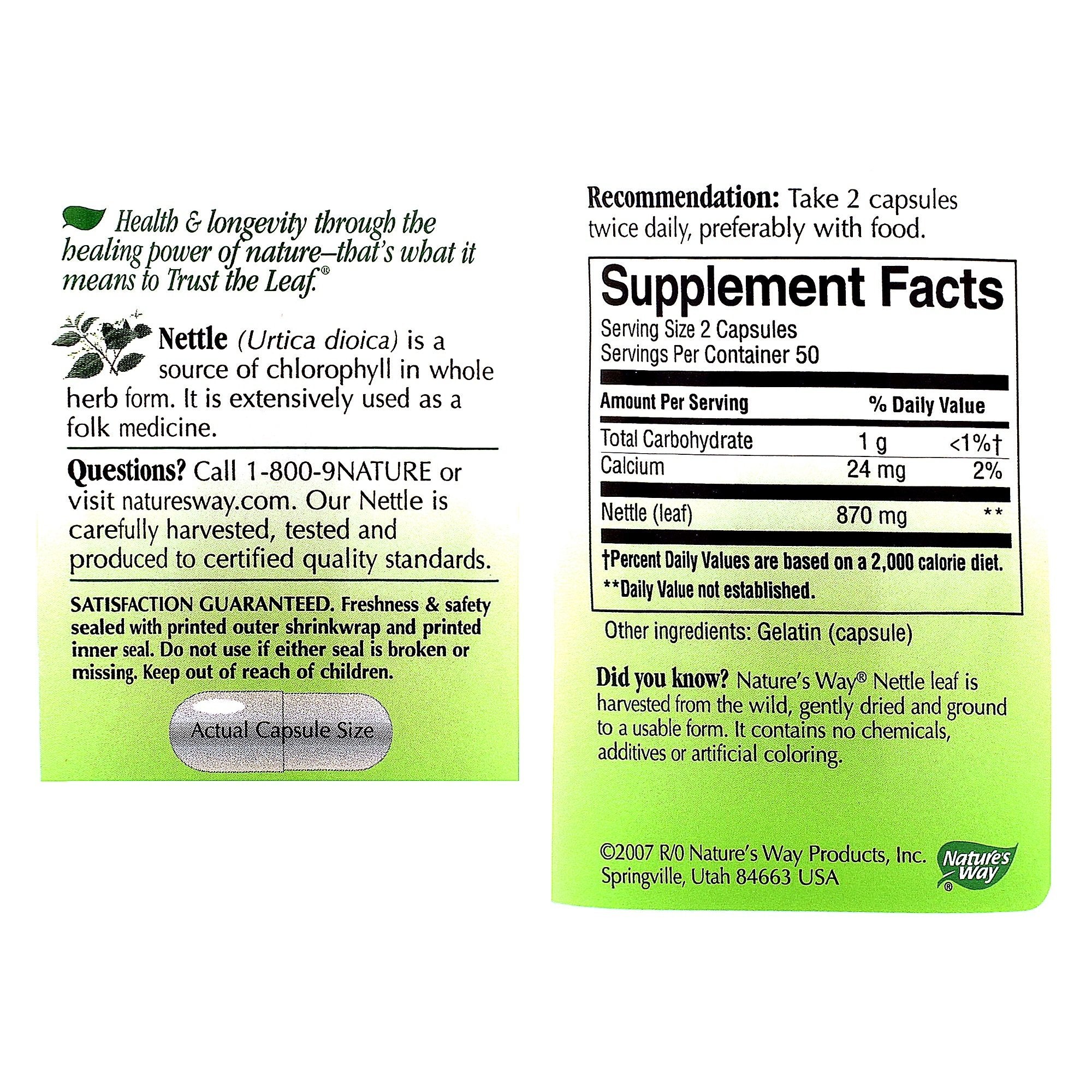 Nature's Way Nettle Herb 100 Capsules packaging on a table