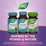 Nature's Way Olive Leaf Extract 250mg Vegan Capsules with fresh olive leaves