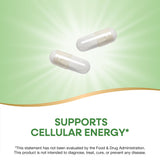 Nature's Way Pantothenic Acid Vitamin B5 500mg capsules bottle with label
