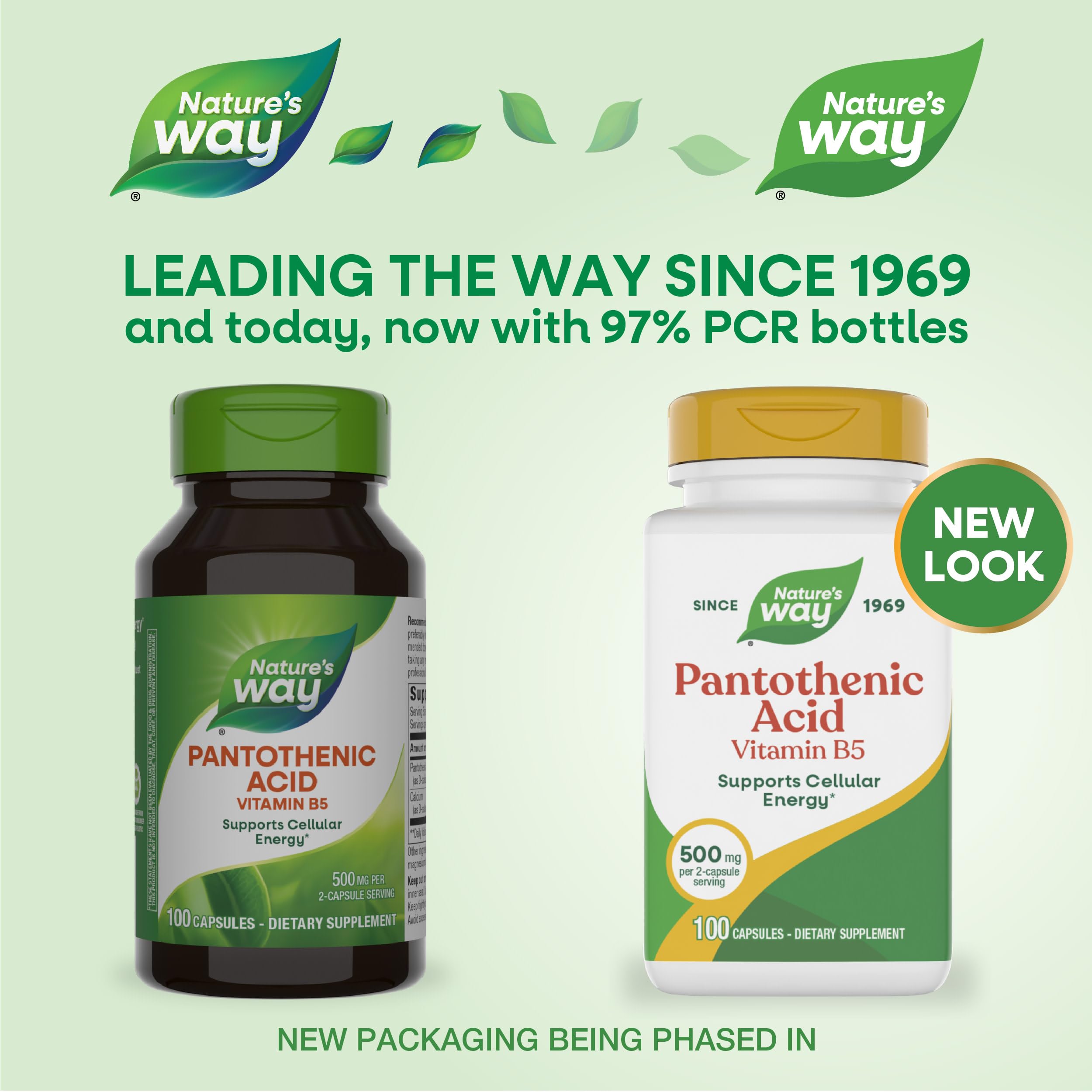 Nature's Way Pantothenic Acid Vitamin B5 500mg capsules side view