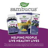 Nature's Way Sambucus daily wellness Lozenges alongside a cup of tea