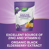 Nature's Way Sambucus daily wellness Lozenges in a hand for size reference
