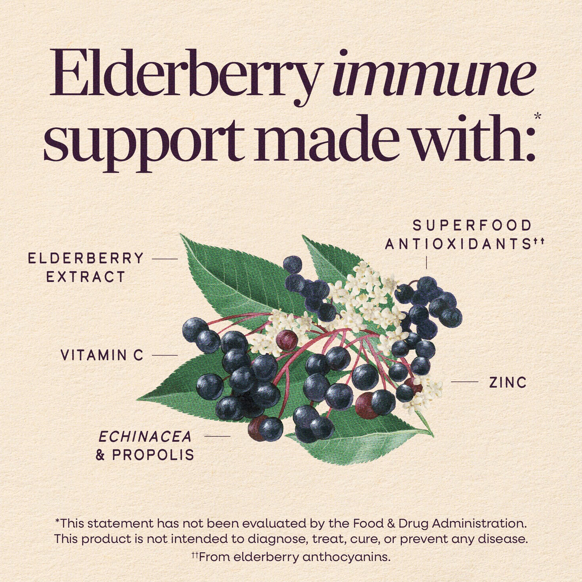 Nature's Way Sambucus daily wellness Syrup 227g side view