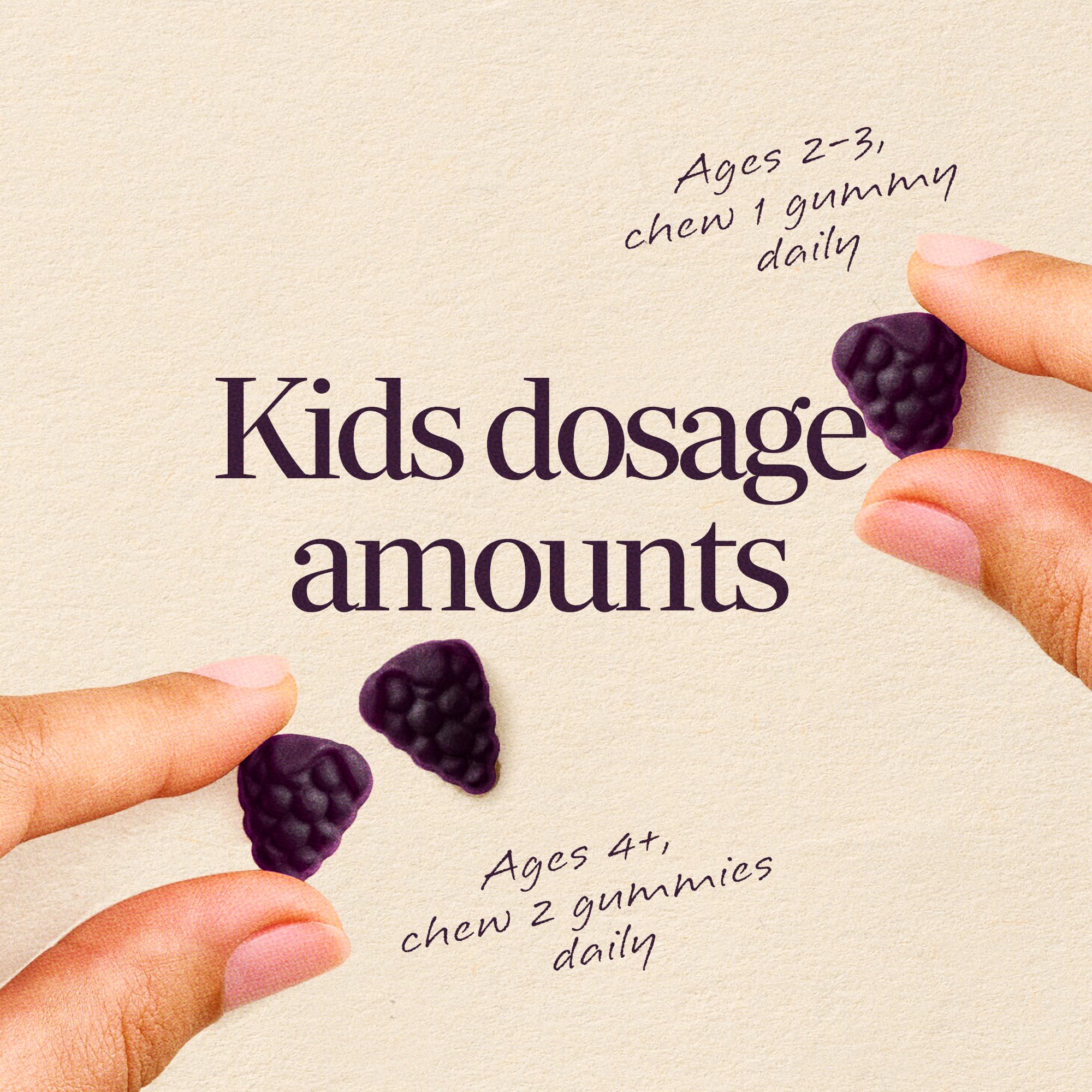 Nature's Way Sambucus Elderberry Gummies nutritional information