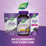 Nature's Way Sambucus Elderberry Gummies with fresh elderberries