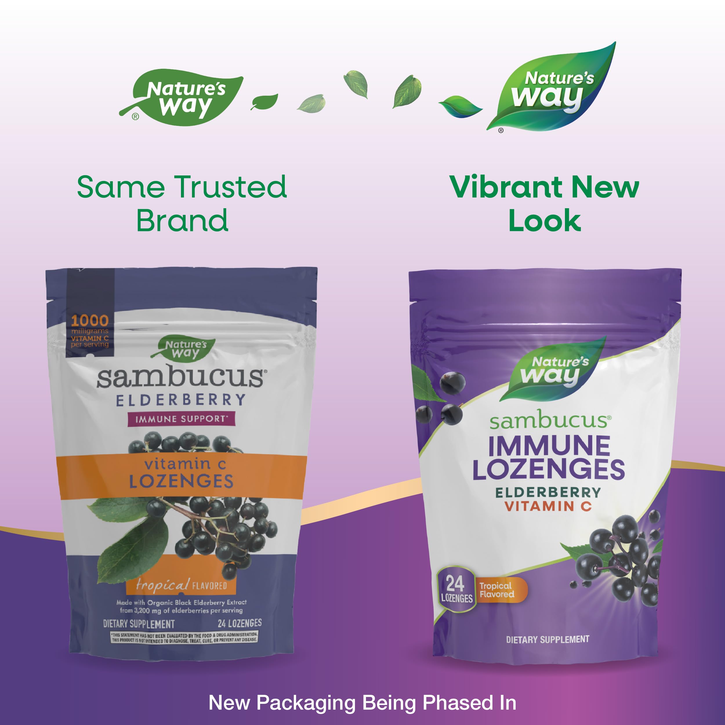 Nature's Way Sambucus Elderberry Lozenges lozenge close-up