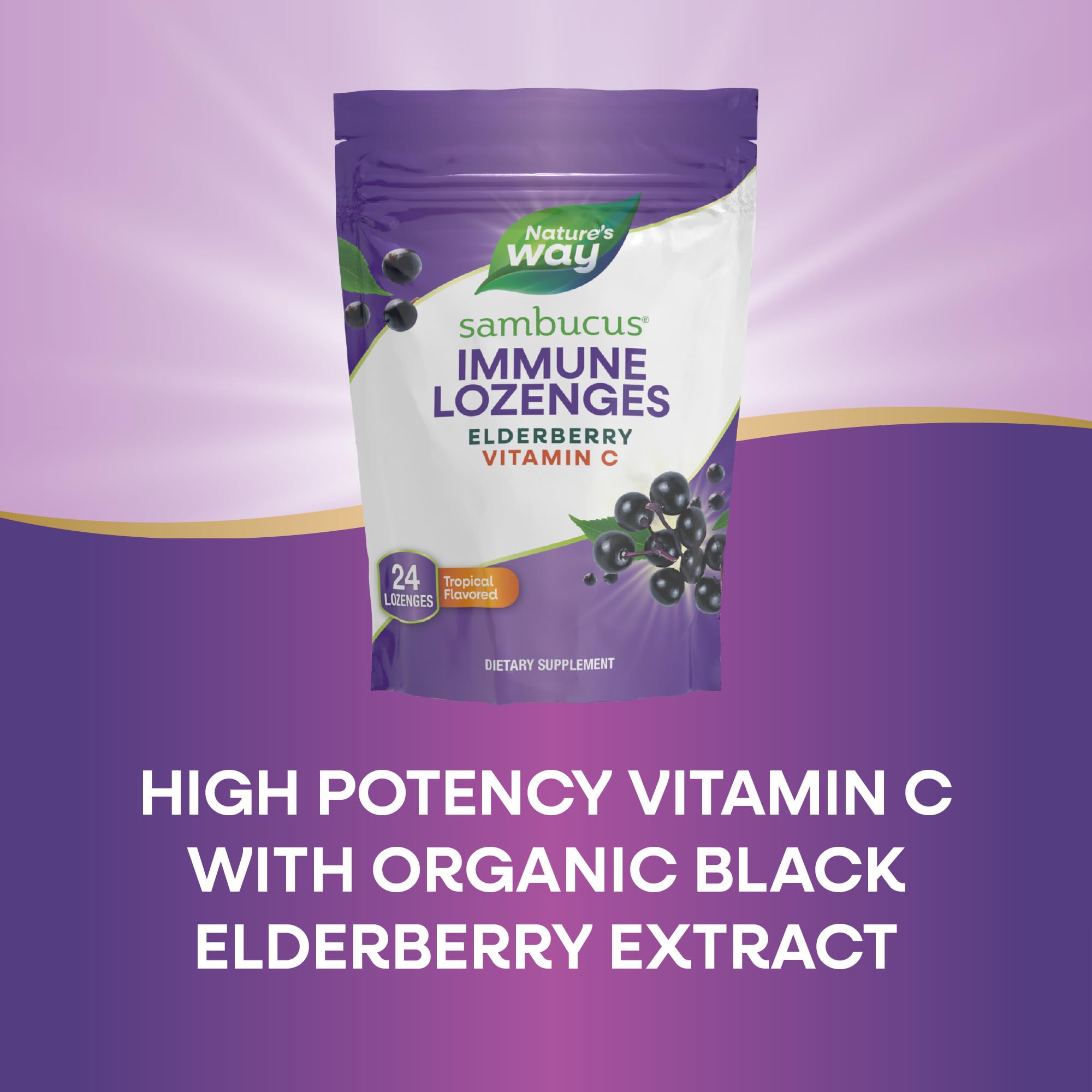 Nature's Way Sambucus Elderberry Lozenges packaging back view