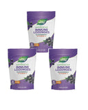 Nature's Way Sambucus Elderberry Lozenges packaging front view