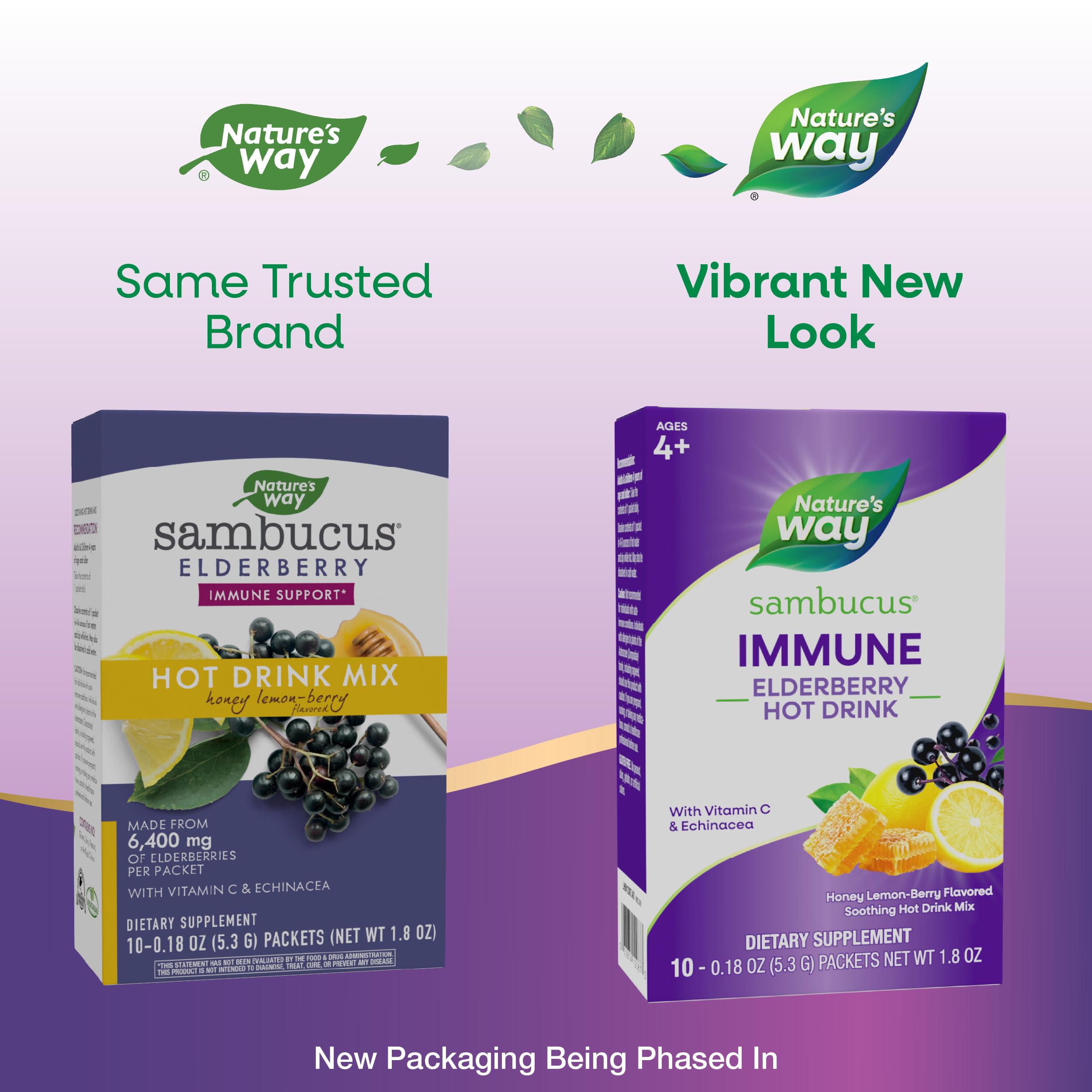 Nature's Way Sambucus Hot Drink Mix 50g back view with ingredient list