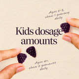 Nature's Way Sambucus Kids Elderberry Gummies showing ingredients