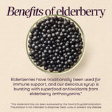 Nature's Way Sambucus syrup bottle with ingredients list