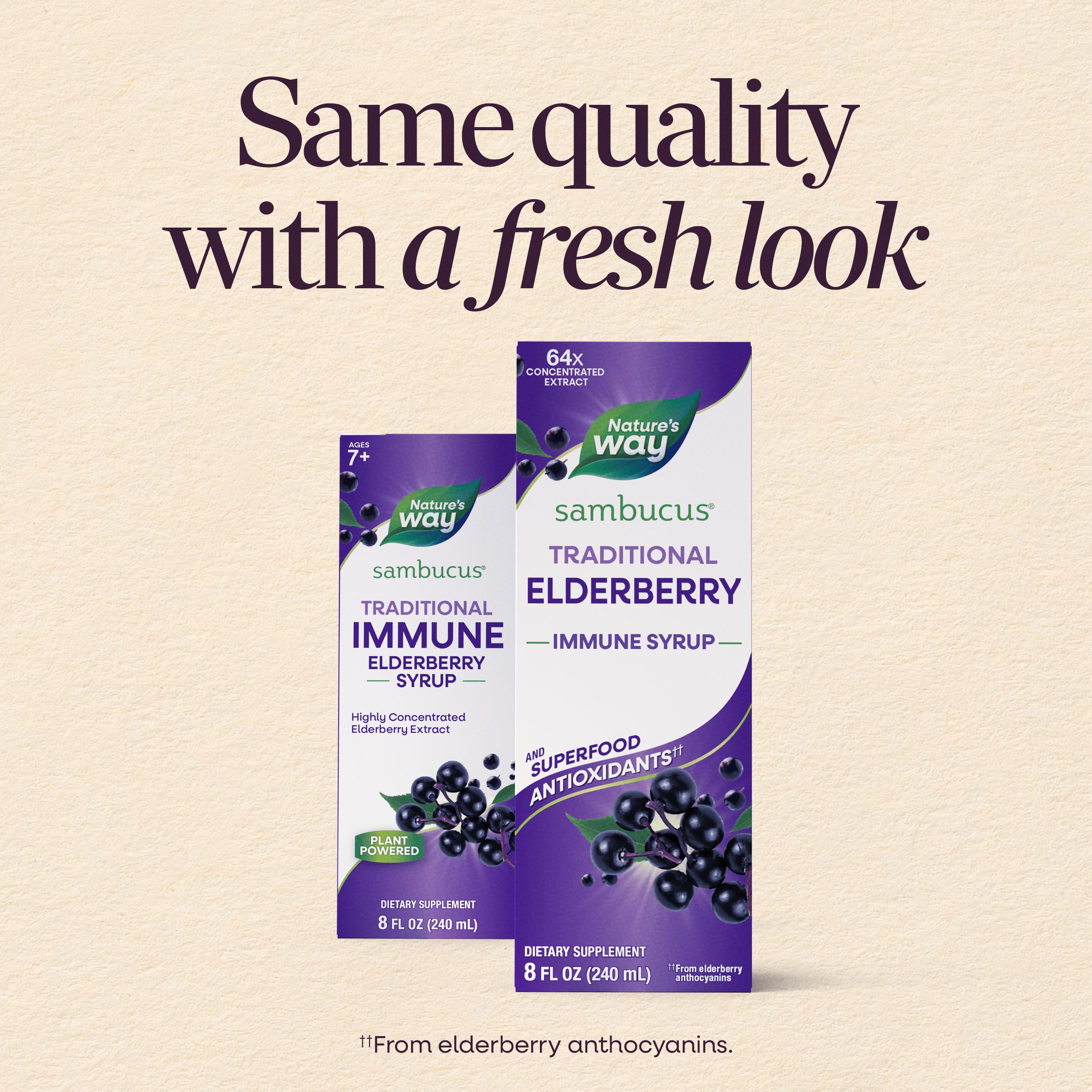 Nature's Way Sambucus syrup label with elderberry extract details
